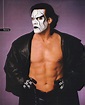 Sting (wrestler) - Alchetron, The Free Social Encyclopedia