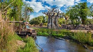 11 Razones Por Que Visitar Disney Animal Kingdom