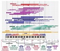 The Frequency Spectrum, Instrument Ranges, And EQ Tips : dataisbeautiful