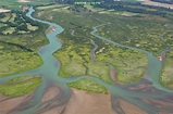 PRISM_Skagit River Delta Restoration - Wildlife Recreation and Coalition