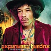 Jimi Hendrix - Experience Hendrix:The Best of Jimi Hendrix [LP] (2vinyl ...