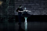 Black Swan Ballet Wallpaper