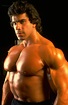 Actor/Bodybuilder Lou Ferrigno Talks About Getting Fired From Celebrity ...