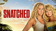 Snatched (2017) - AZ Movies