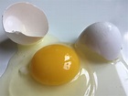 ¿Para qué sirve la clara de huevo cruda en ayunas? - Innatia.com