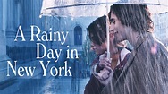 A Rainy Day in New York (2020) - Netflix | Flixable