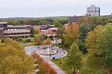 5 Reasons To Go To Stony Brook University - OneClass Blog