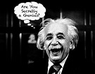 Are You A Genius? - Dustan Woodhouse - Mortgage Expert