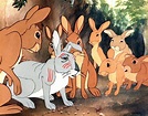 WATERSHIP DOWN (1978) – Film Review – ZekeFilm