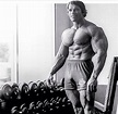 Leyenda | Arnold schwarzenegger bodybuilding, Arnold schwarzenegger ...