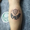 Tatuagem do Palmeiras – 70 Inspirações para homenagear seu time!