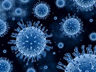 Viruses: What are they and what do they do?