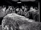 'The Thing from Another World' (1951) Movie Review - ReelRundown