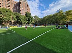 Seward Park, LES, 6v6 Fall 2022 : Metro Soccer NY