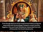 25 Truly Interesting Facts About the Ancient Egyptian Queen Cleopatra ...