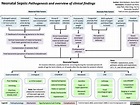 Neonatal Sepsis: Pathogenesis, and Overview of Clinical Findings ...