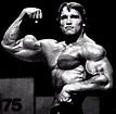 Totally Muscles: Arnie