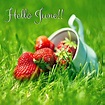Hello June Seasons Months, Days And Months, Seasons Of The Year, Months ...