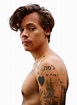Harry Styles Fine Line Png - PNG Image Collection