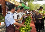 道農市集 古坑休息站隆重開市