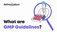 What are GMP Guidelines? | Good Manufacturing Practices for Food Safety ...