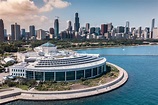 Shedd Aquarium (Map, Images and Tips) | Seeker