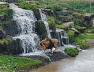 Yorkshire Wildlife Park Summer Trip - I CAAN West Cumbria