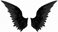 Wings PNG Transparent Images | PNG All