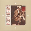 Pinetop Perkins LP: Pinetop's Boogie Woogie (2-LP, 180g) - Bear Family ...