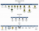The complete list of US military ranks (in order) - We Are The Mighty
