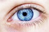 All Blue-Eyed People Share One Common Ancestor