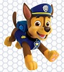PAW Patrol Live! Race to the Rescue | Tickets, Show Details, & More!