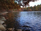 The shore of Walden Pond.