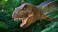 Dinosaurs Tyrannosaurus Rex Lost World Of Animals From The Past Hd ...