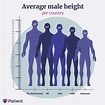 What's the average height for men? | Patient