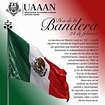 Lista 90+ Foto Feliz Dia De La Bandera De Mexico Alta Definición ...