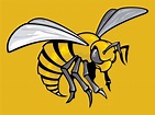 Alabama State Hornets | NCAA Athletics Wiki | Fandom