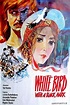 The White Bird Marked with Black (1972) - Posters — The Movie Database ...