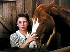 National Velvet (1944 Film) Comes to the Big Screen | LiteraryLadiesGuide