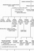 1. Simplified family tree of the Cavendish family; names in capitals ...