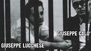 Giuseppe Lucchese - Annuncia lo sciopero della fame dichiarazioni ...