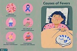 Fieber: Symptome, Ursachen, Diagnose und Behandlung