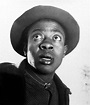 Willie Best | Character actor, Hollywood stars, Golden age of hollywood
