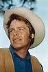 Doug McClure — The Movie Database (TMDB)