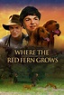 Where the Red Fern Grows (Película, 2003) | MovieHaku