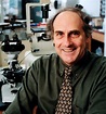 Ralph M. Steinman, a Nobel Recipient for Research on Immunology, Dies ...