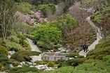 Japanese Friendship Garden and Museum - Balboa Park