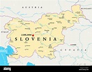 La Slovenia mappa politico con capitale Lubiana, confini nazionali ...