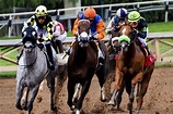 Guía Completa: Cómo Apostar En Carreras De Caballos