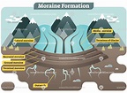 Moraine formation illustrated vector diagram | Moraine, Diagram ...